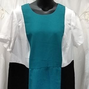 Roaman's Colorblock Pencil Dress